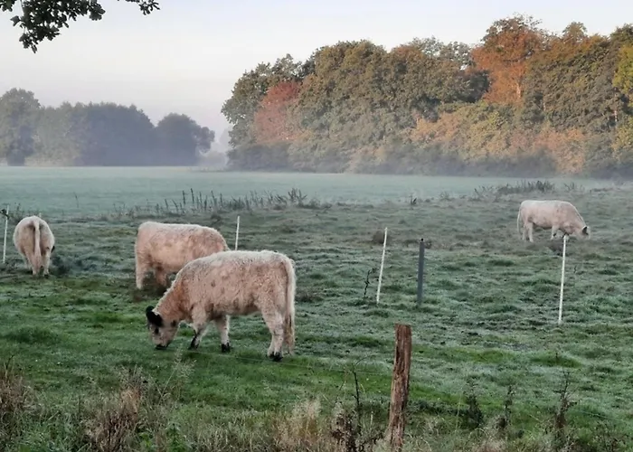 41 Pod Vakantiehuis *